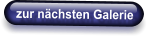 zur nächsten Galerie