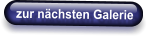zur nächsten Galerie