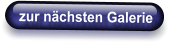 zur nächsten Galerie