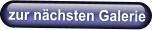 zur nächsten Galerie